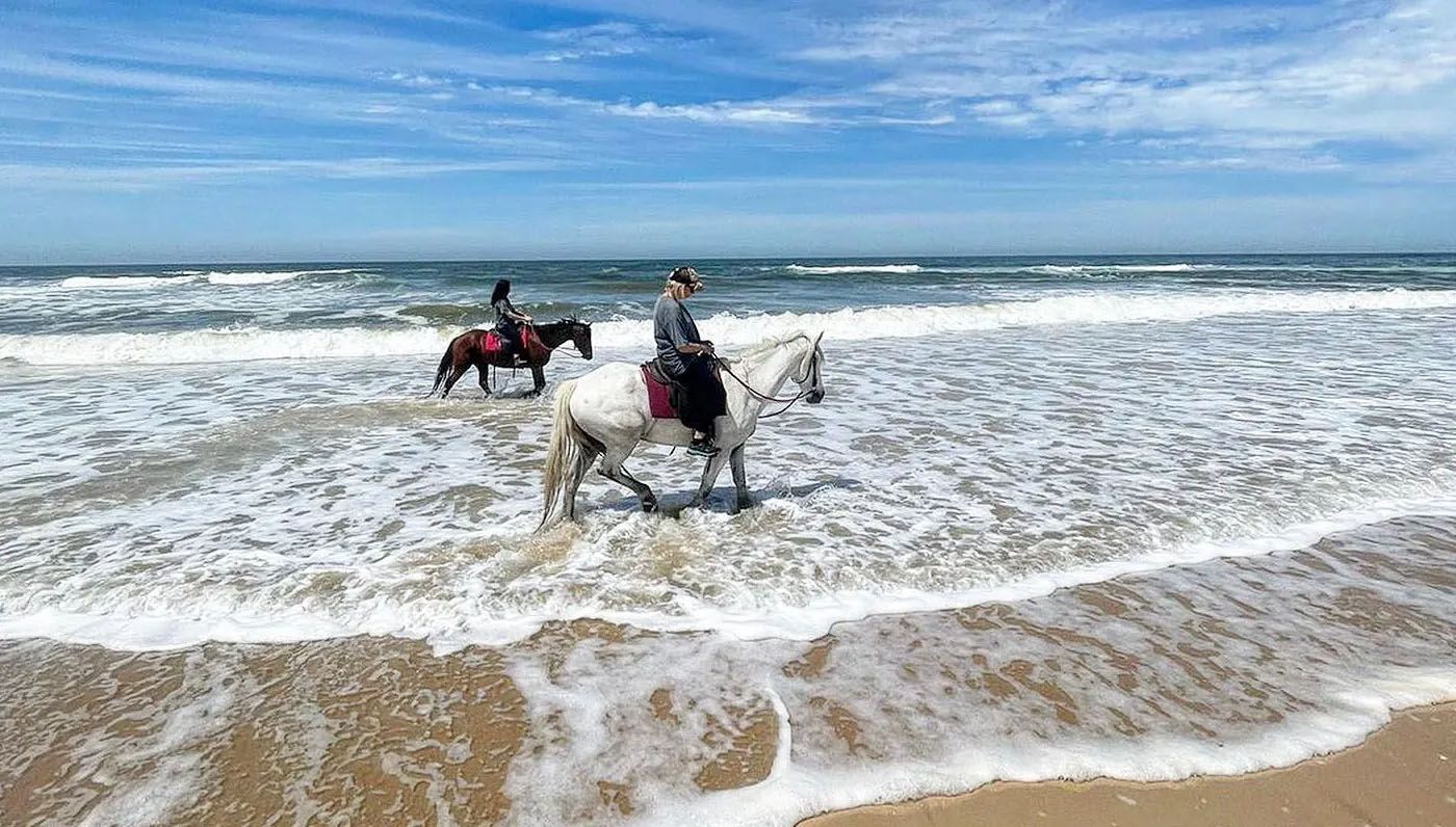 Конная ферма Papiesfontein, Джеффрис Бэй